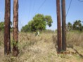 /album/telecomunica%c3%a7%c3%b5es/carlos-1-081-jpg/